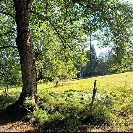 Apartman Zelenka