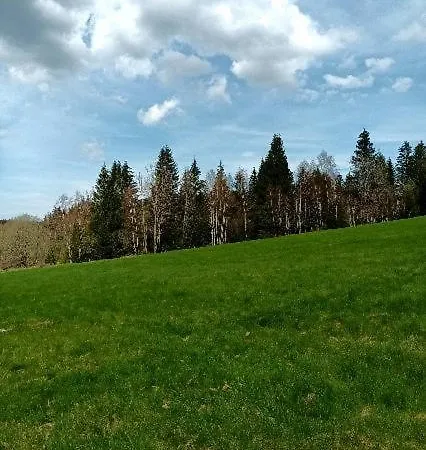 Apartman Zelenka *